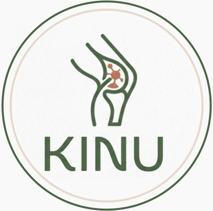 Logo KINU